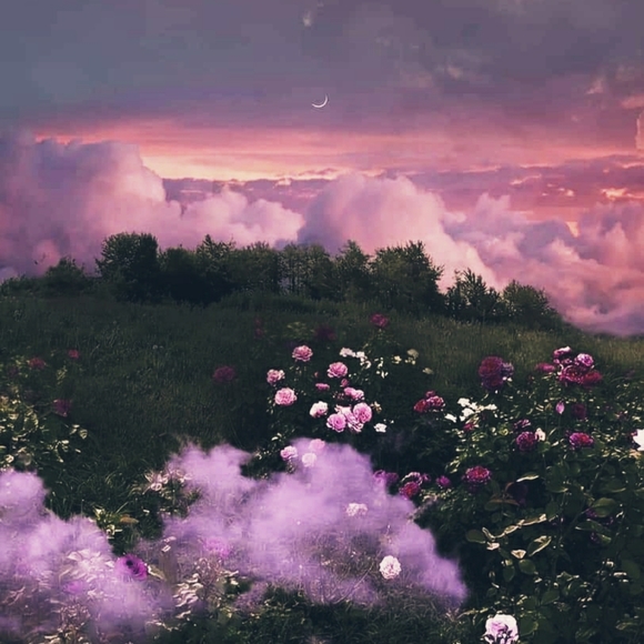 Meet your Posher, Maria - Picture 1 of 1